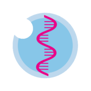 RNAi-Based Therapeutics Summit Logo